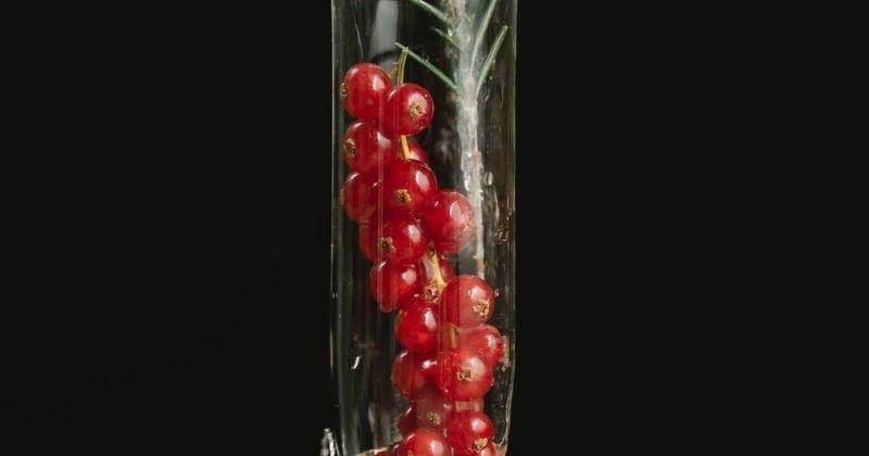 Pexels/Charlotte May