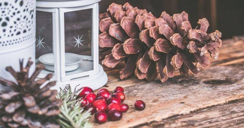 Pexels/Jessica Lewis