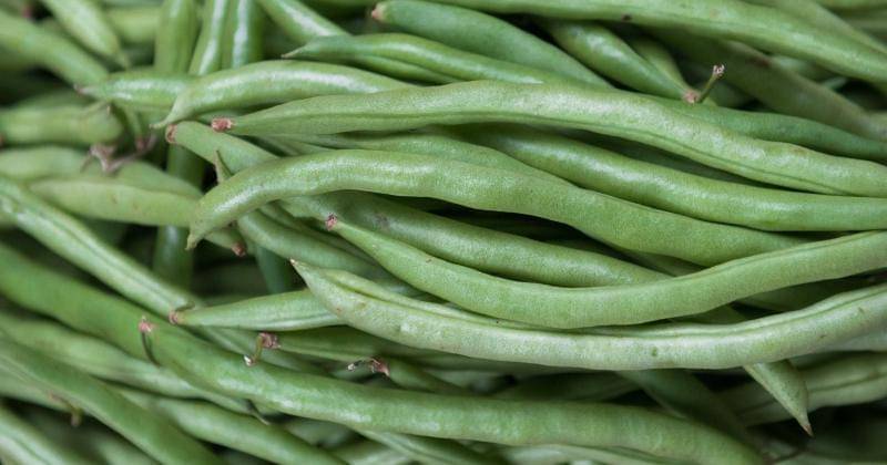 Pexels/Yulia Rozanova