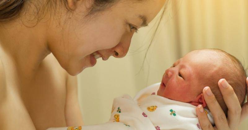 Shutterstock/bluedog studio