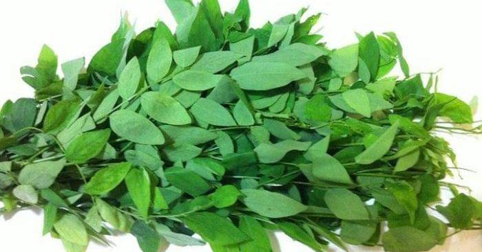 Pinterest/Fitriani gozel