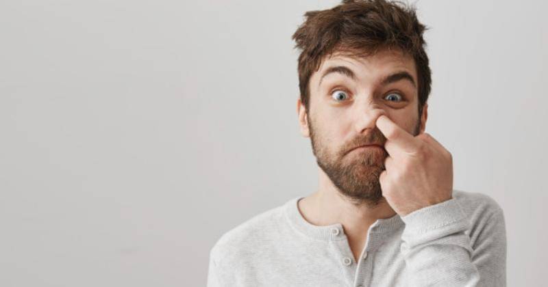 Freepik/cookie_studio