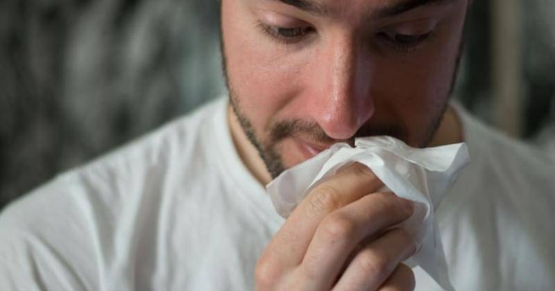 Unsplash/Brittany Colette