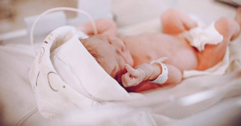 Pexels/vidalbalielojrfotografia