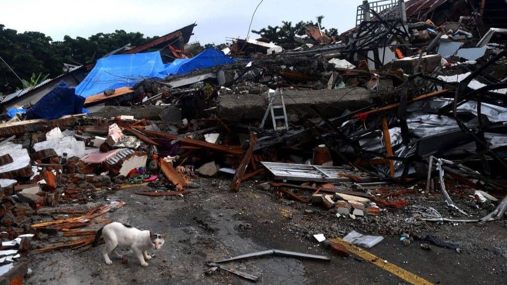 Perlu Anak Ketahui, Sulawesi Barat Pernah Tsunami pada 1969