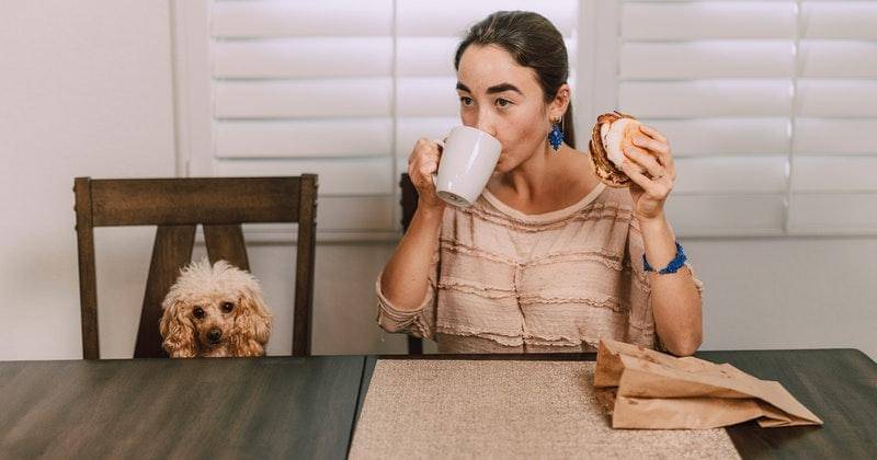 Pexels/RODNAE Productions