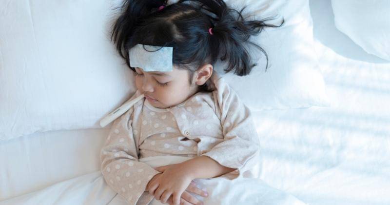 Shutterstock/Asada Nami