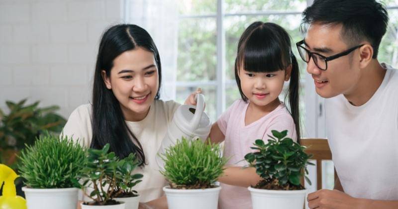 Shutterstock/Pond Saksit