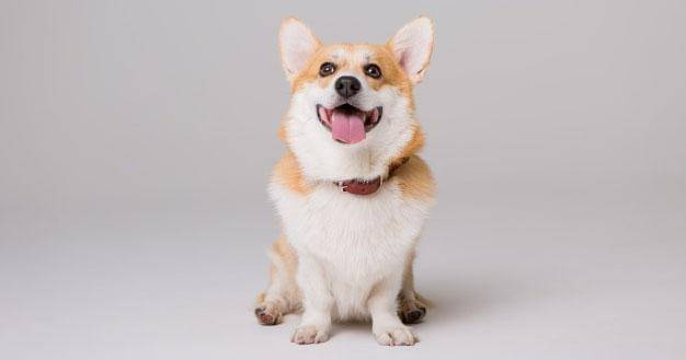 Freepik/Kristina-igumnova