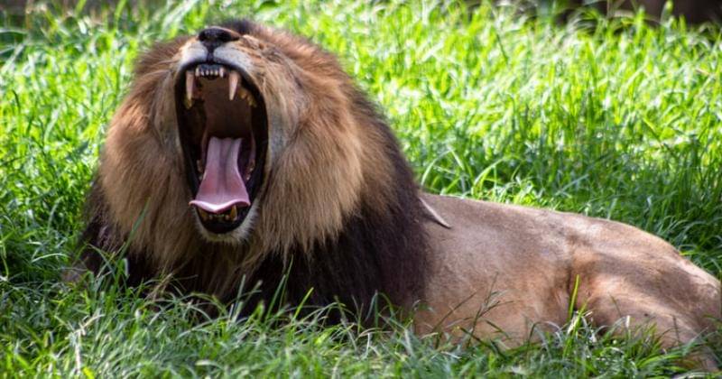 Unsplash/Joshua J. Cotten