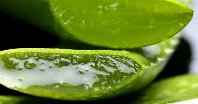 Pixabay/casellesingold