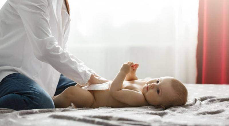 Freepik/cookie_studio