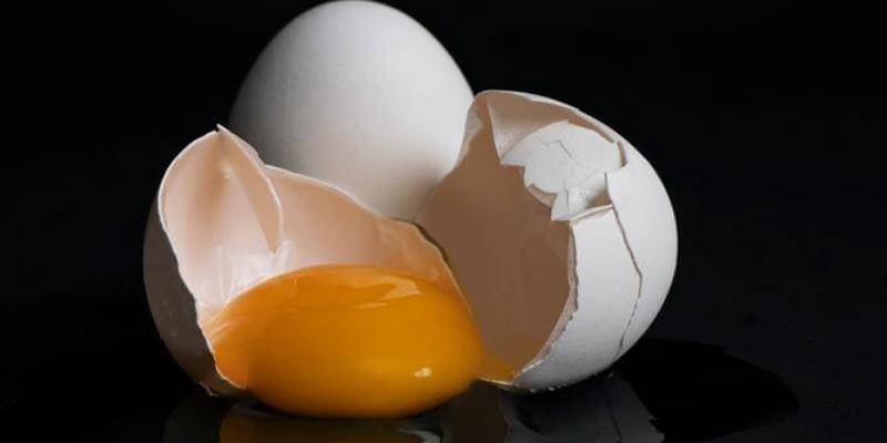 Unsplash/Jasmin Egger