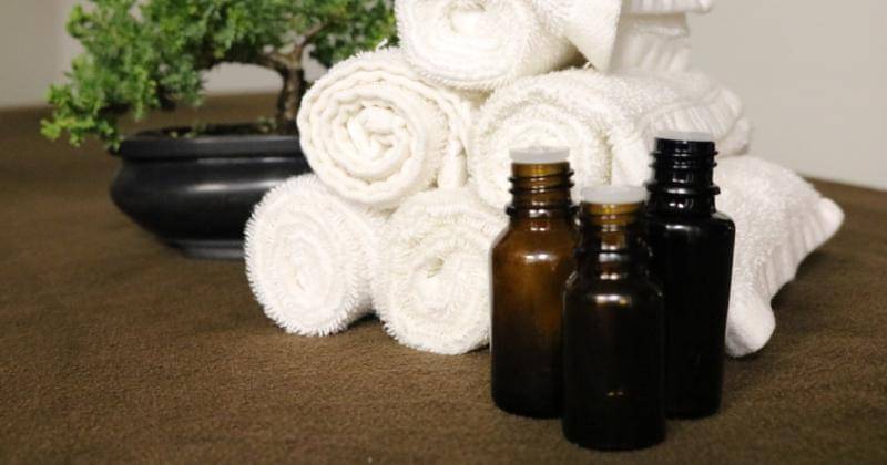 Pixabay/BrandeePember