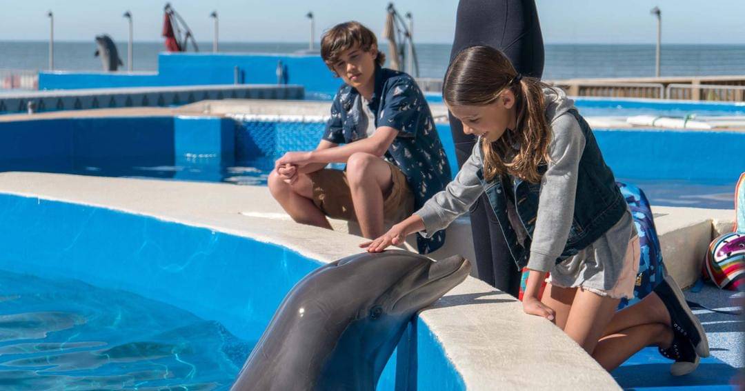 Berniethedolphinfilm.com