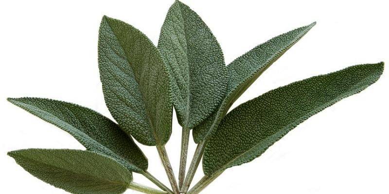 Pixabay/Lebensmittelfotos