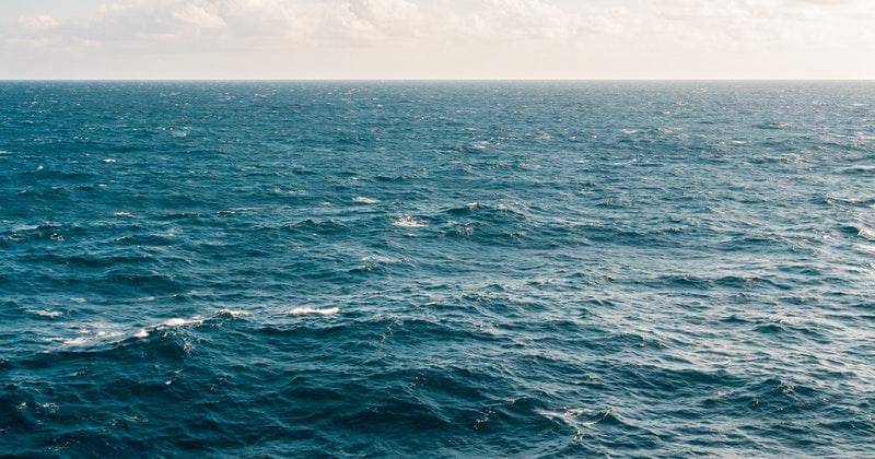 Pexels/Kellie Churchman