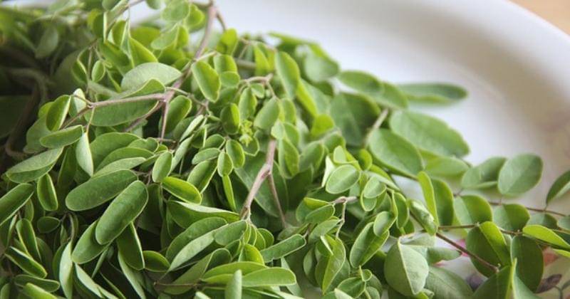 Pixabay /Sapna Vibhandik