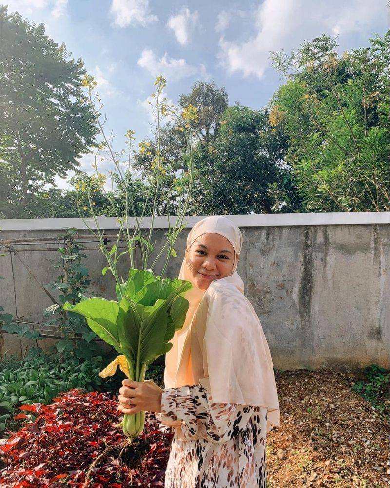 Instagram.com/ku.tanami