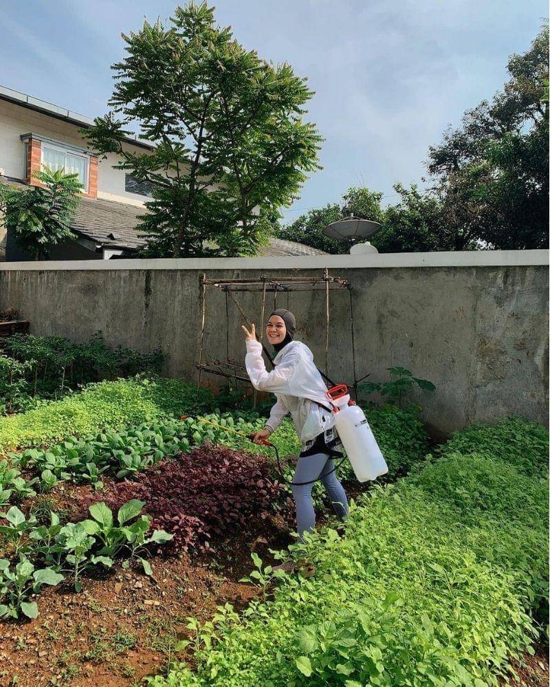 Instagram.com/ku.tanami