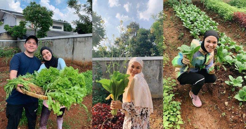 Instagram.com/ku.tanami