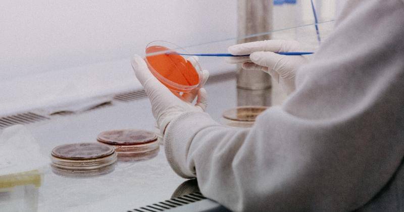 Unsplash/trnavskauni