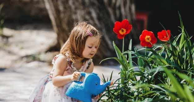 Freepik/Freepic-diller