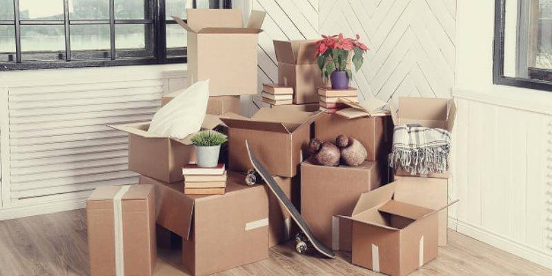 Freepik/Racool_studio