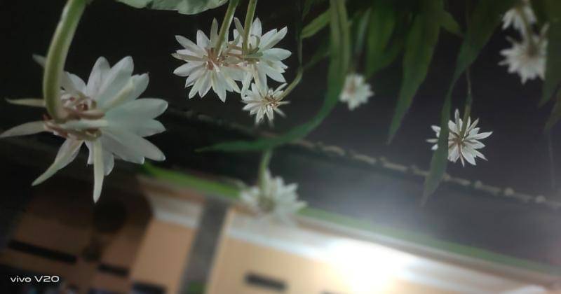 Popmama.com/Bima Bintoro