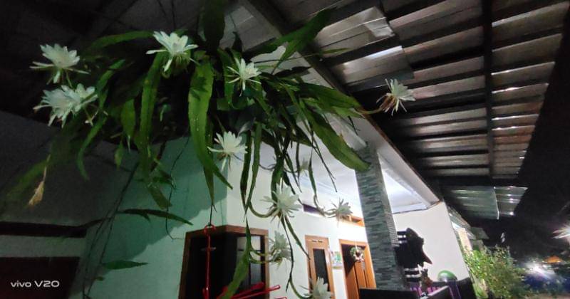 Popmama.com/Bima Bintoro