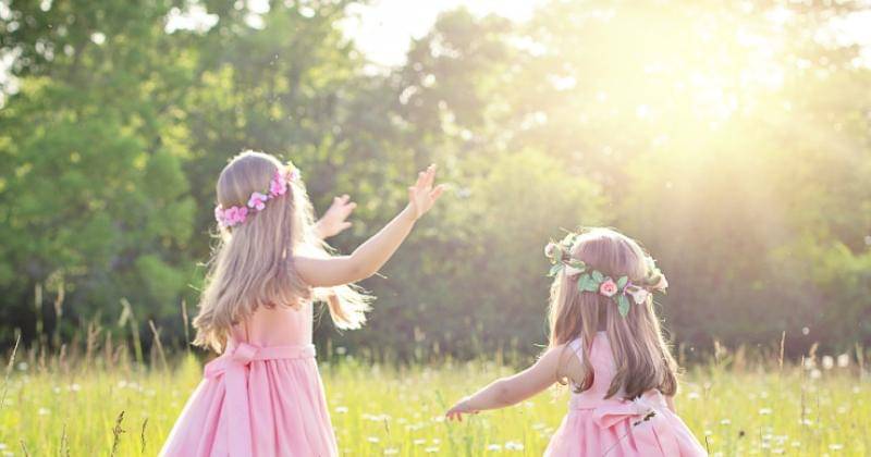 Pixabay/JillWellington