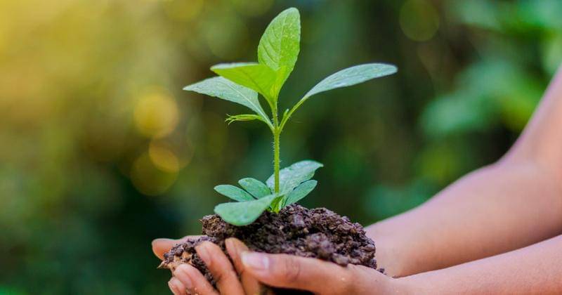 Shutterstock/ sarayut_sy