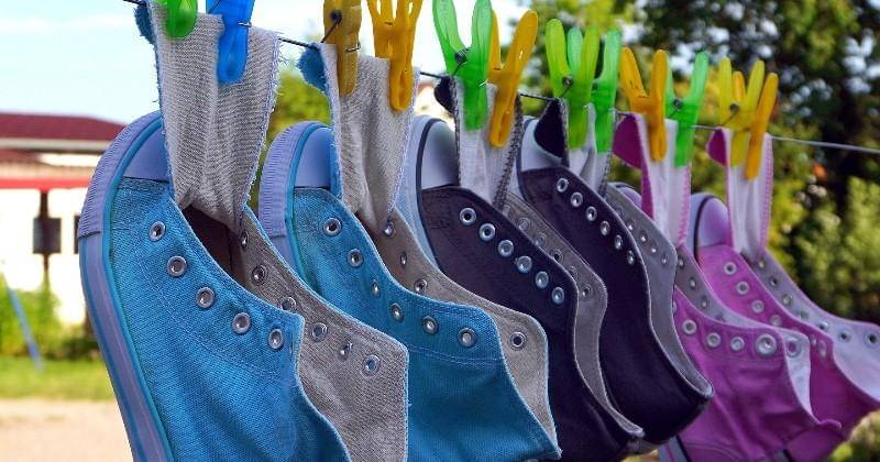 Pixabay/matthiasboeckel