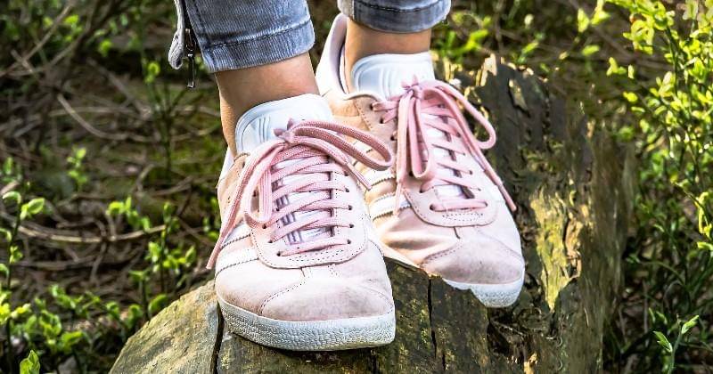 Pixabay/Myriams-Fotos