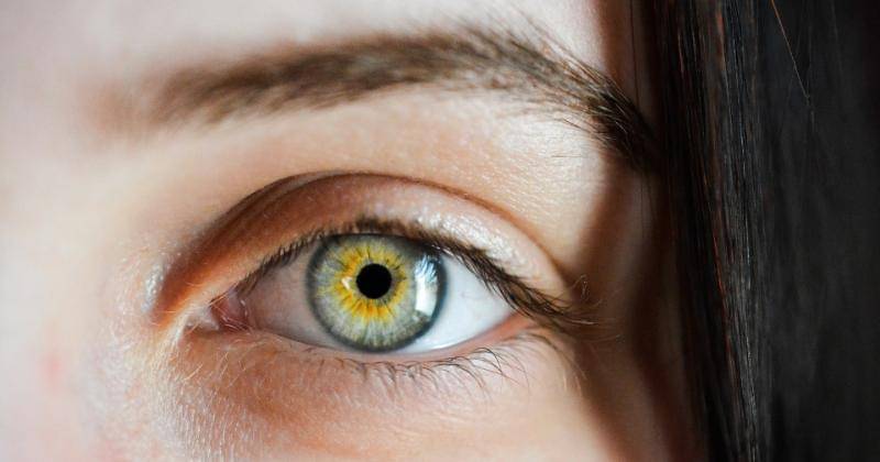 Pixabay/SofieZborilova