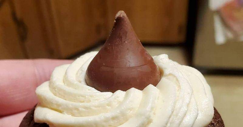 Instagram.com/21deadmonkeys