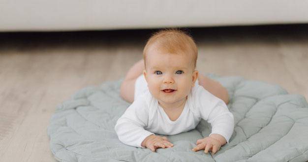 Freepik/bristekjegor