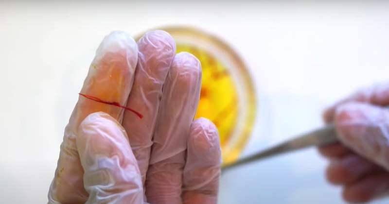 Youtube.com/ Zaran Saffron