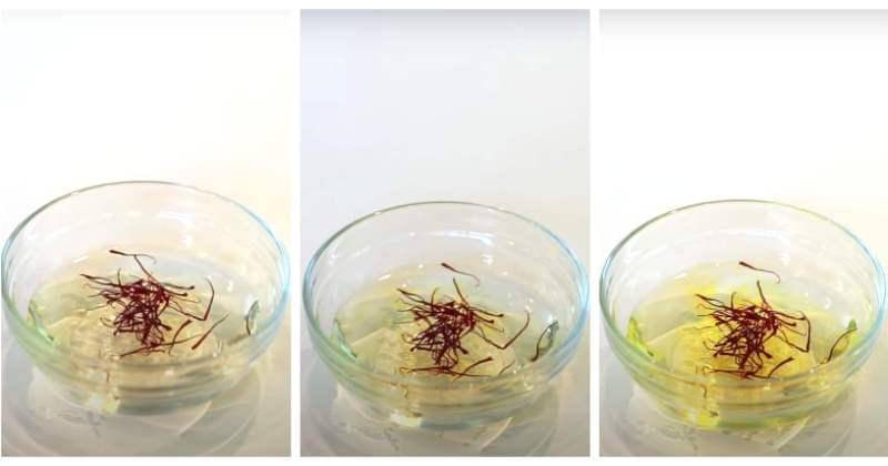 Youtube.com/ Zaran Saffron