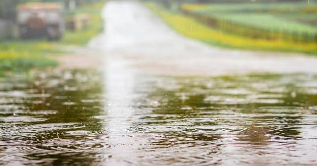 Freepik/user19739995