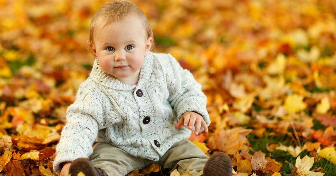 Pixabay/PublicDomainPictures