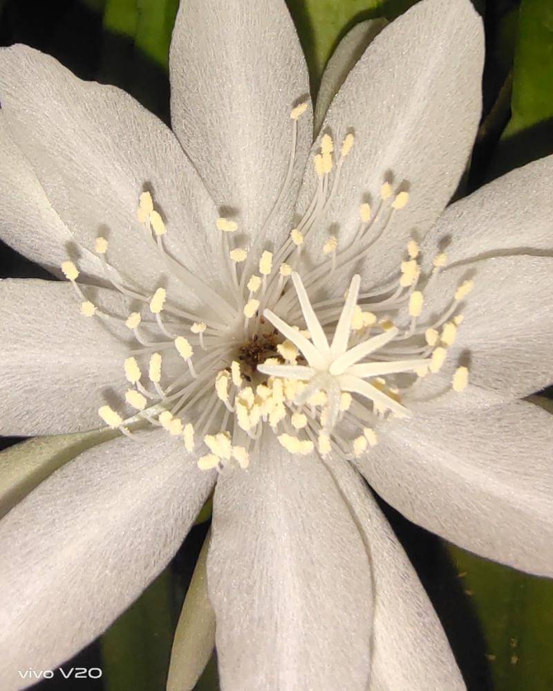 Popmama.com/Bima bintoro