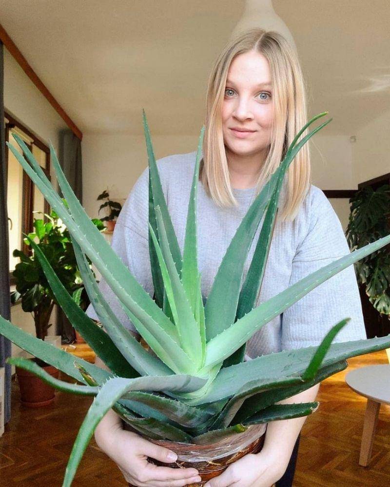 Instagram.com/kejt_plantlover