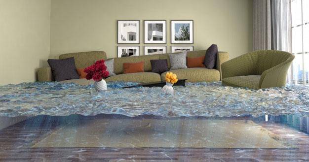 Freepik/stockernumber2