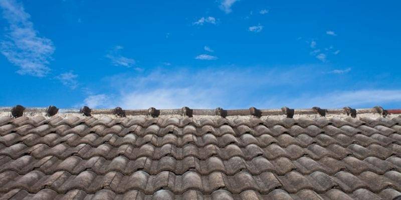 Freepik/zirconicusso