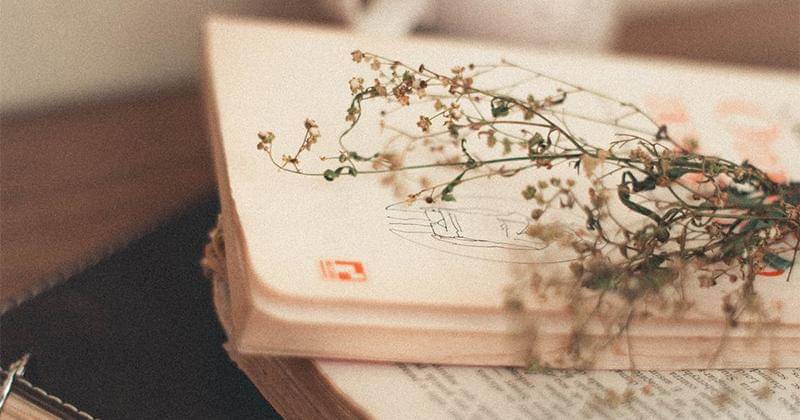 Pexels/Wallace Chuck 