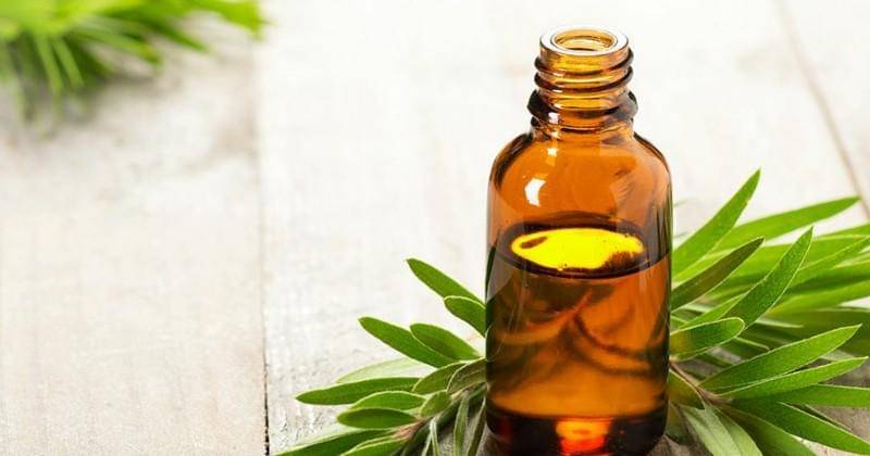 goodhousekeeping.com