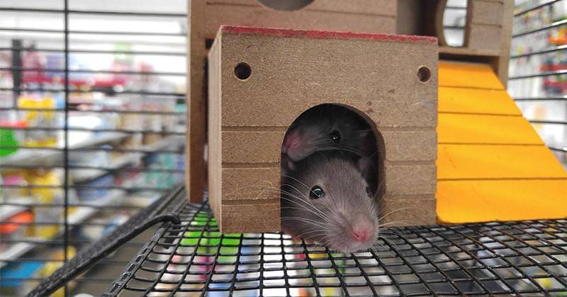 Pexels/Tanner Johnson