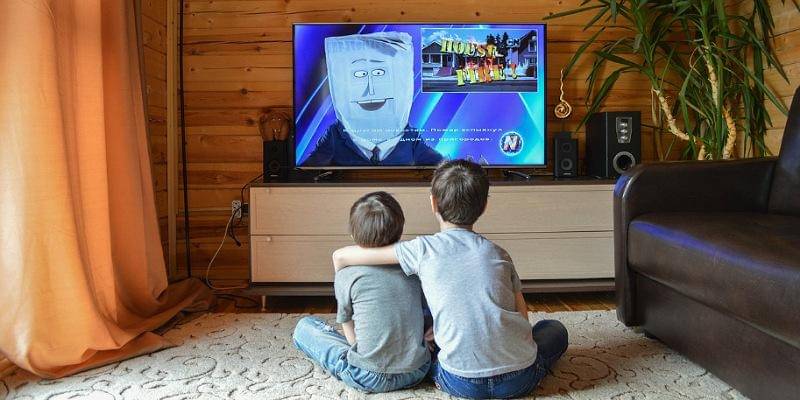 Pixabay/Victoria_Borodinova