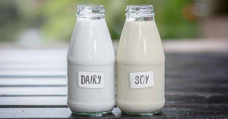 milklife.com